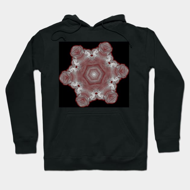 Spectacular fractal snowflake Hoodie by hereswendy